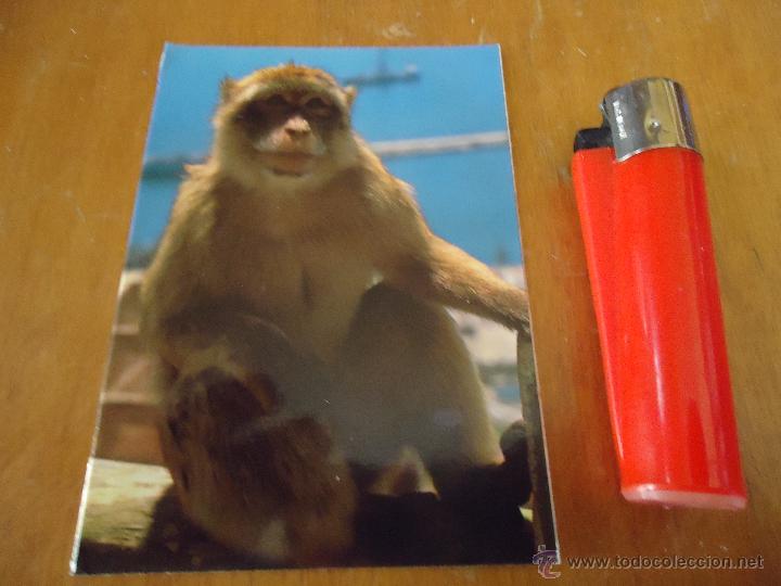 Postales: antigua mini postal GIBRALTAR - Foto 1