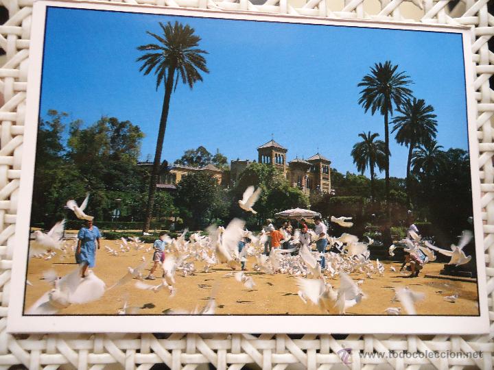 Postales: ANTIGUA POSTAL - sevilla - Foto 1