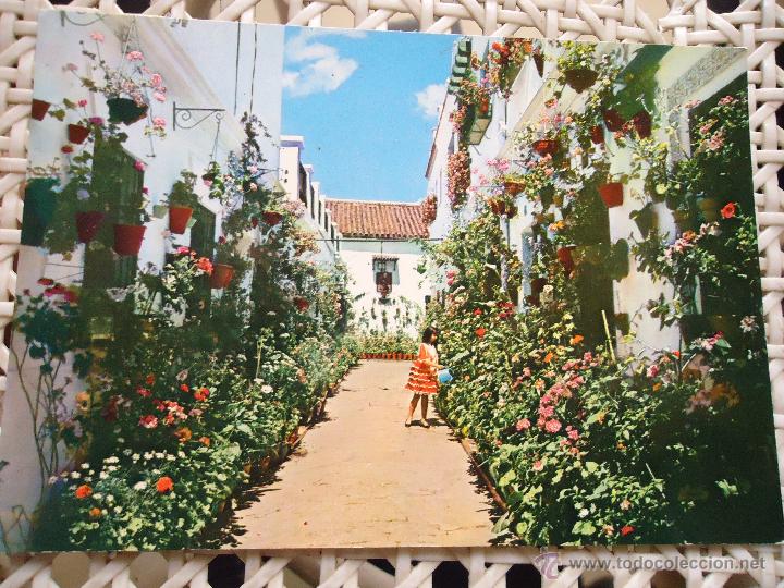 Postales: antigua postal - sevilla - Foto 1