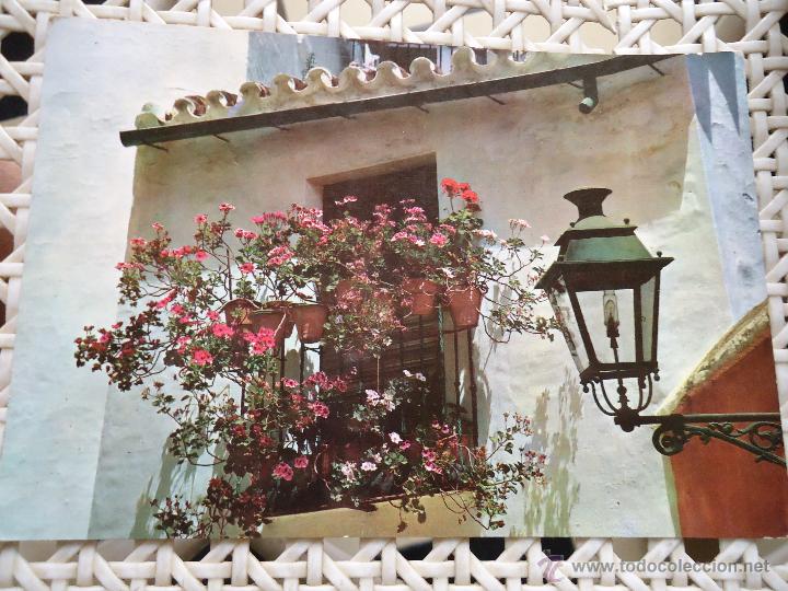 Postales: antigua postal - sevilla - Foto 1
