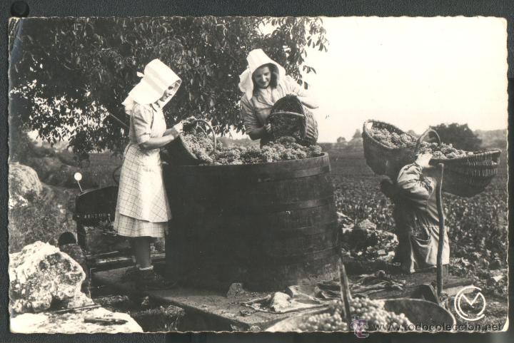 Postales: LA COSECHA EN BURDEOS - Foto 1
