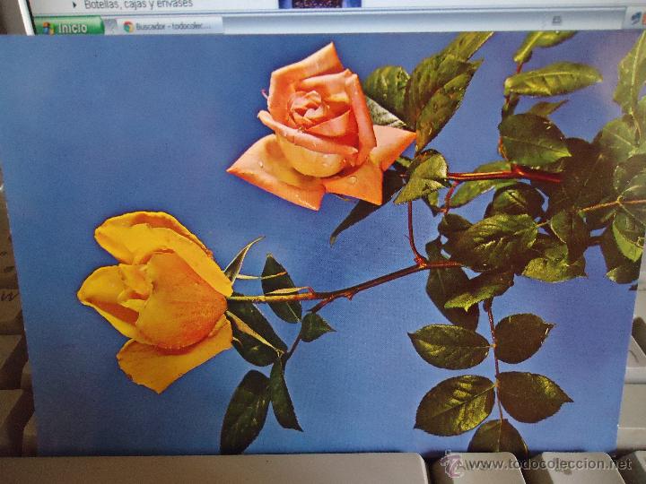 Cartes Postales: antigua postal FLORES