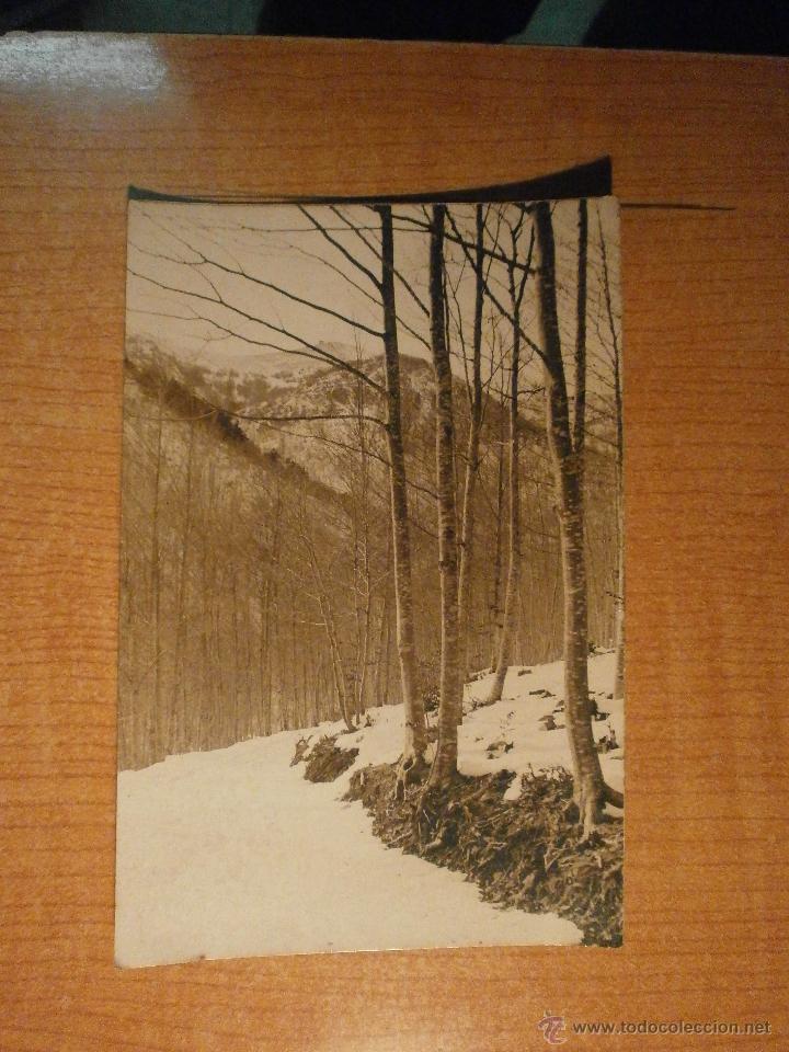 Postales: TARJETA POSTAL SIN TITULO SIN IDENTIFICAR SIN CIRCULAR