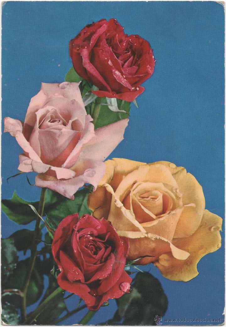 Postales: FLORES - Foto 1