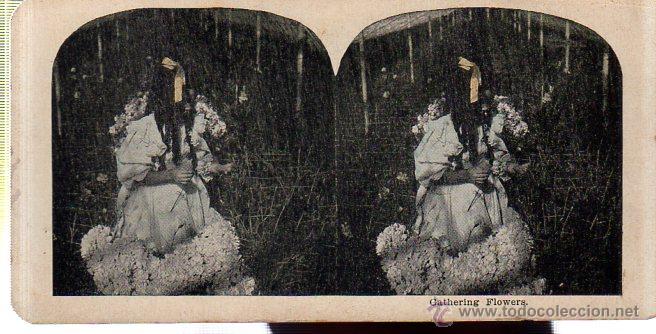 Postales: POSTAL STEREOSCOPIC. GATHERING FLOWERS. - Foto 1