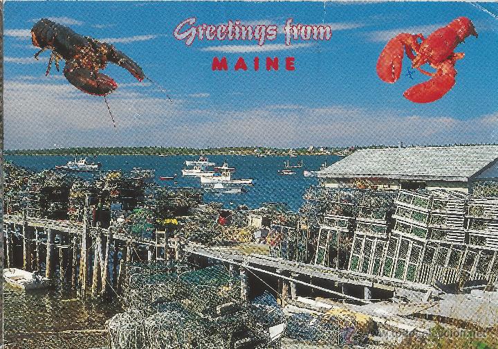Postales: GREETINGS FROM MAINE