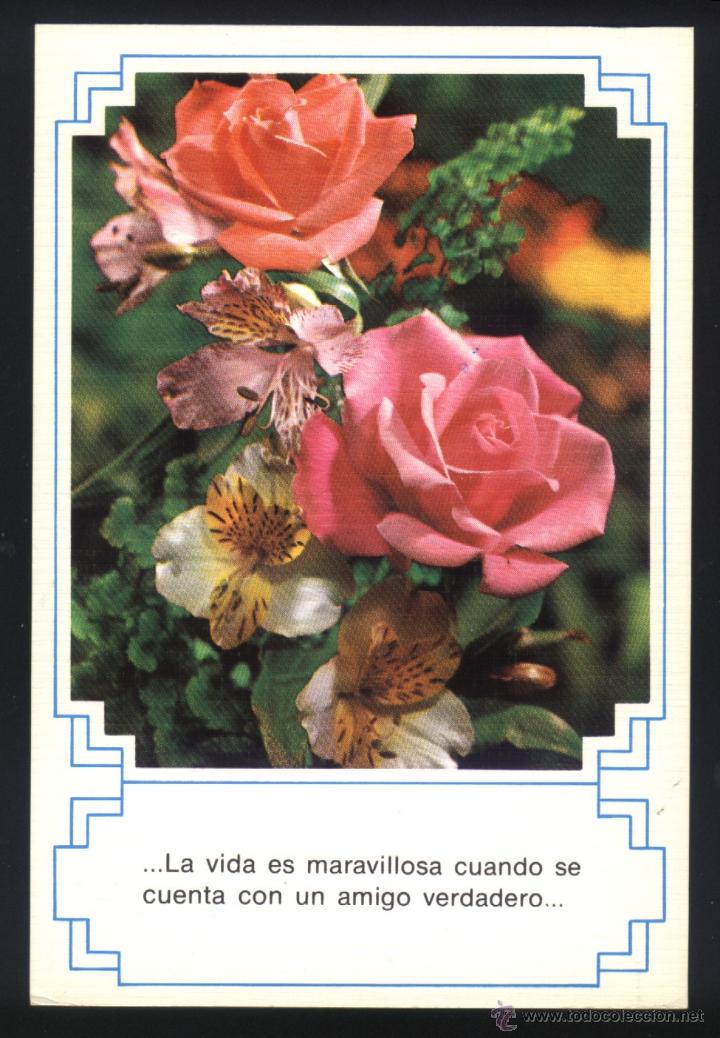 Postales: A-0543- POSTAL CON FLOR. ROSAS - Foto 1