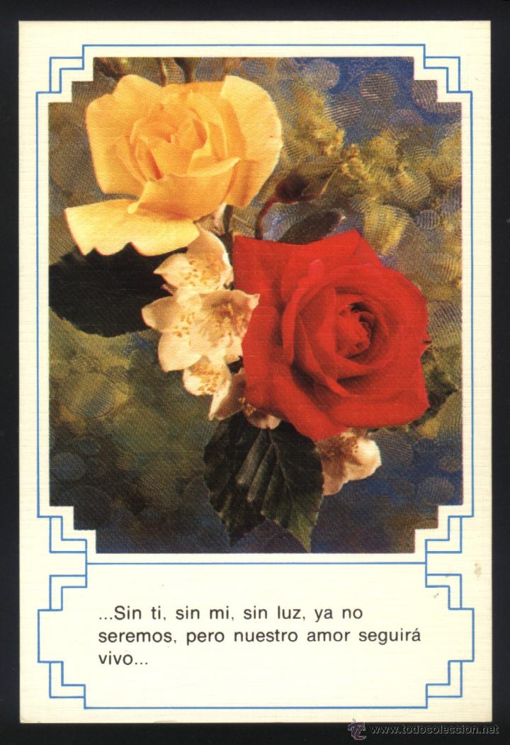 Postales: A-0564- POSTAL CON FLOR - Foto 1