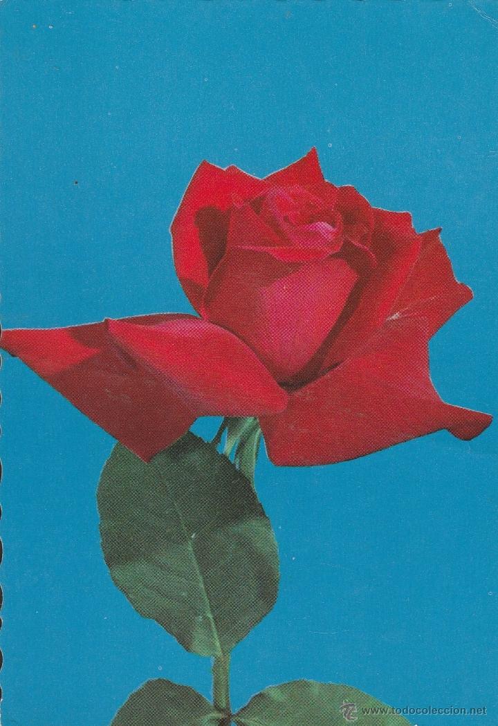 Postales: N&ordm; 14501 POSTAL ROSA - Foto 1