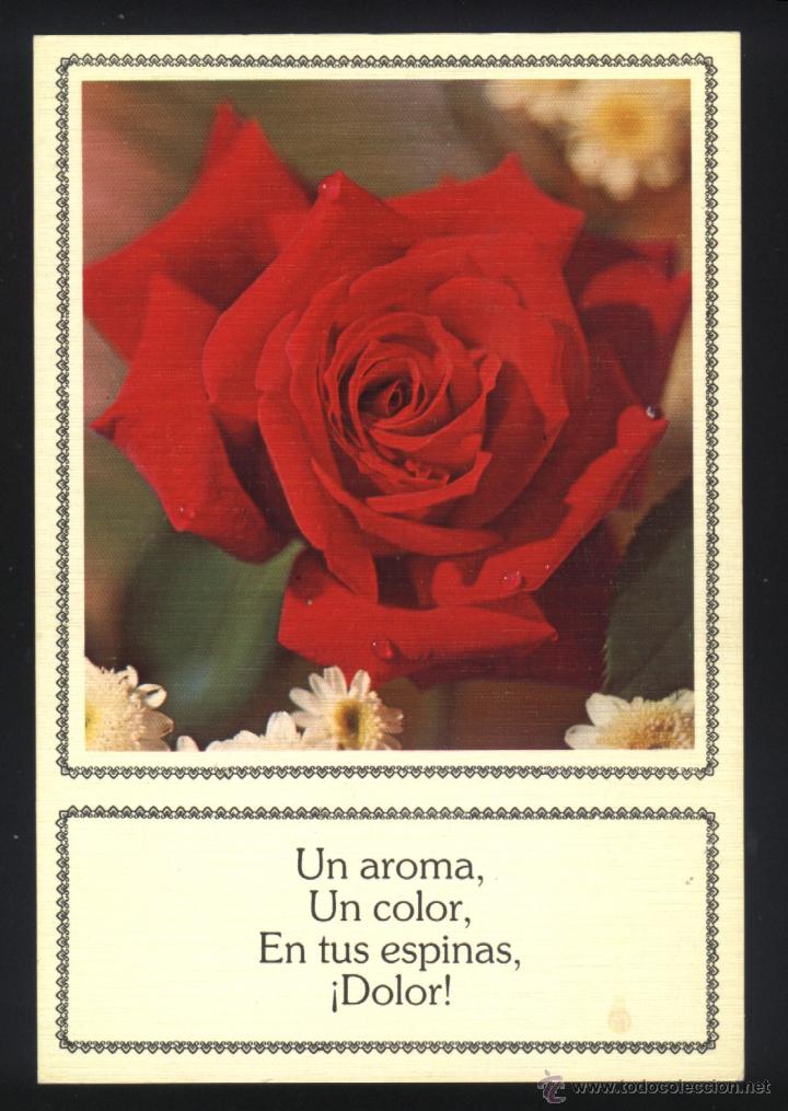 Postales: A-0713- POSTAL CON FLOR. ROSA. - Foto 1
