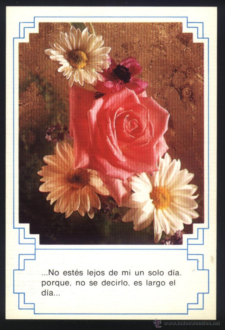 Postcards: A-0764- POSTAL DE FLOR. ROSAS Y MARGARITAS