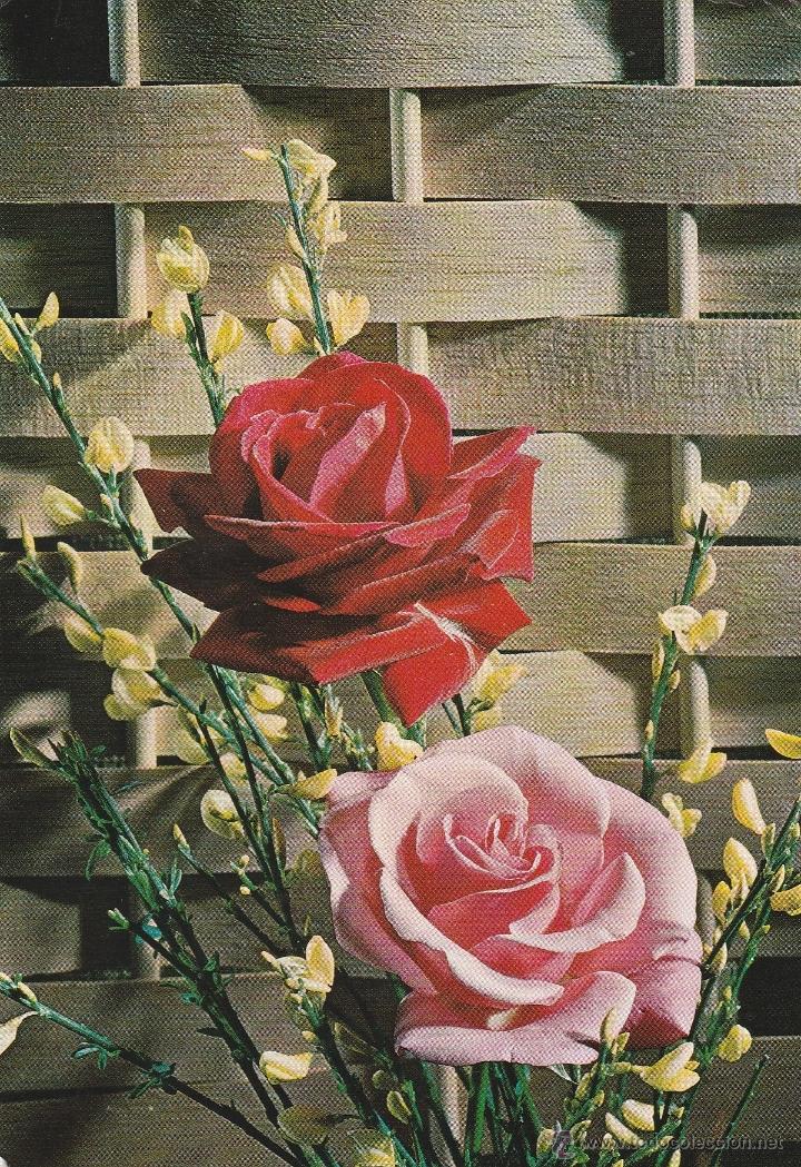 Postais: N&ordm; 16538 POSTAL FLORES ROSAS