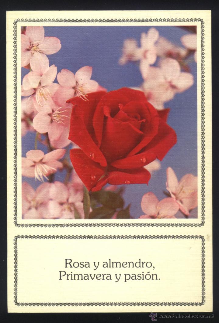 Postales: A-0962- POSTAL CON FLOR. - Foto 1