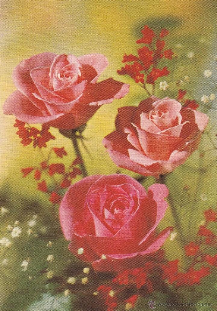 Postais: N&ordm; 21294 POSTAL FLORES  ROSAS