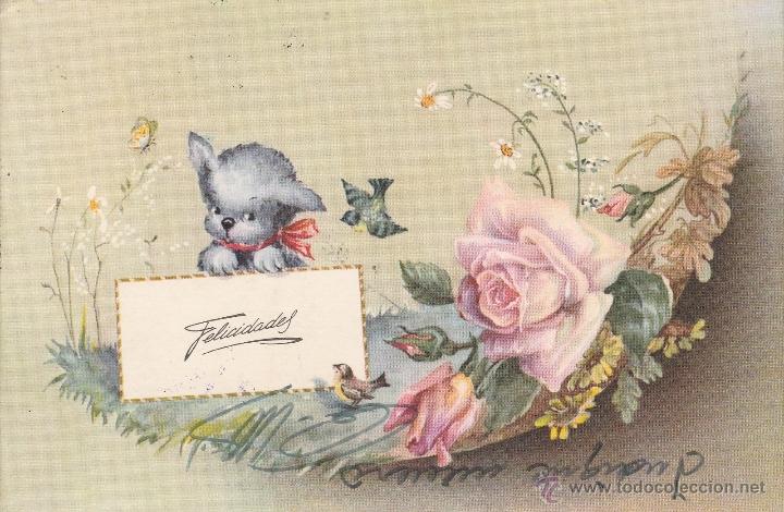 Postales: N&ordm; 21302 POSTAL FLORES ROSA - Foto 1