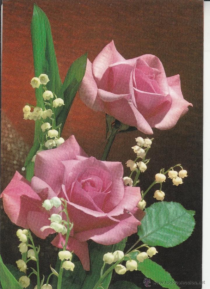 Postkarten: N&ordm; 22084 POSTAL FLORES