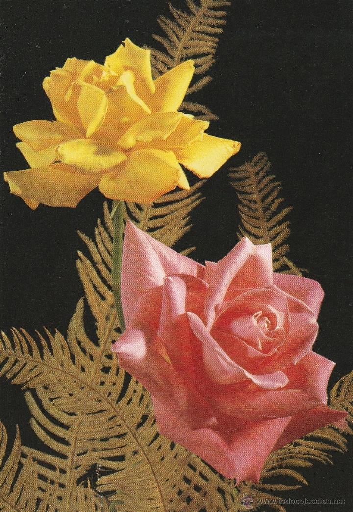 Cartoline: N&ordm; 22097 POSTAL FLORES