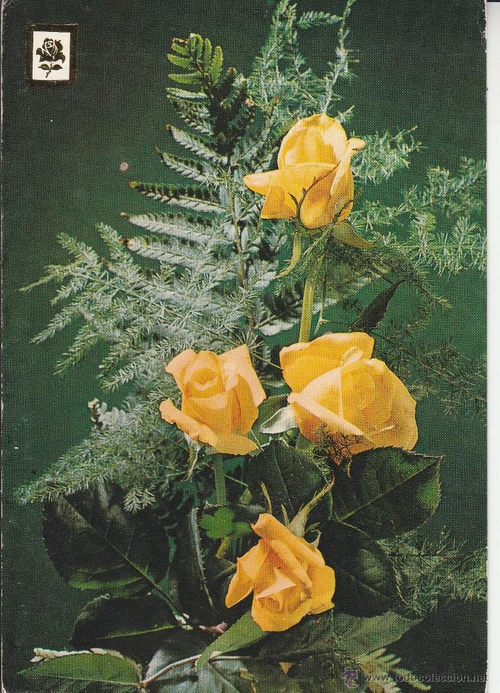 nº 23354 postal flores rosas amarillas - Buy Other Old Postcards at  todocoleccion - 47458993