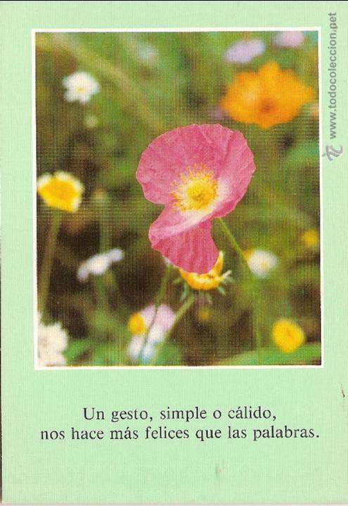 Postales: AMABILIDAD - ESCUDO DE ORO N&ordm; 66 - SIN CIRCULAR - Foto 1