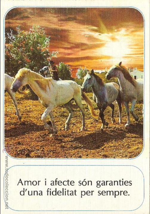 Cartoline: FIDELITAT- ESCUDO DE ORO N&ordm; 17 - SIN CIRCULAR
