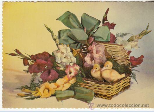 Postcards: POSTAL - FLORES - SERIE 3023 - ANCLA - CIRCULADA EN 1958