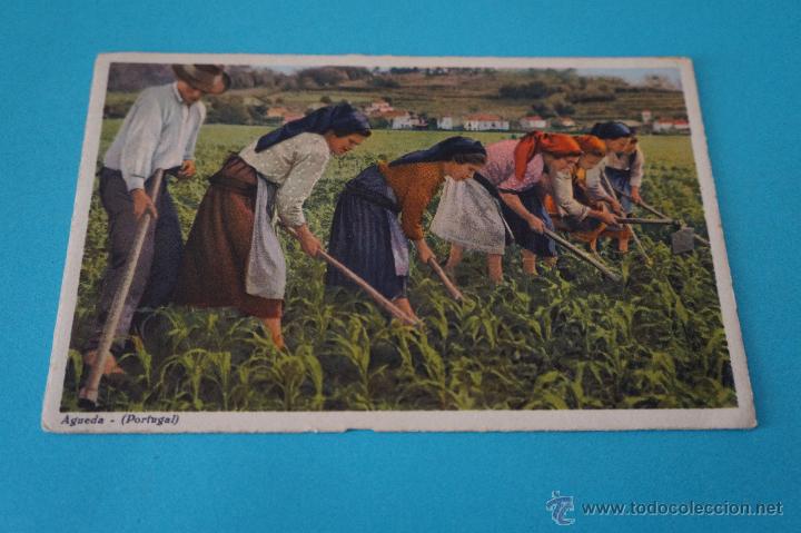 Postales: POSTAL:MUJERES LABRANDO,LOTE 1 - Foto 1