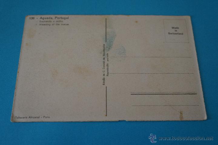 Postales: POSTAL:MUJERES LABRANDO,LOTE 1 - Foto 2