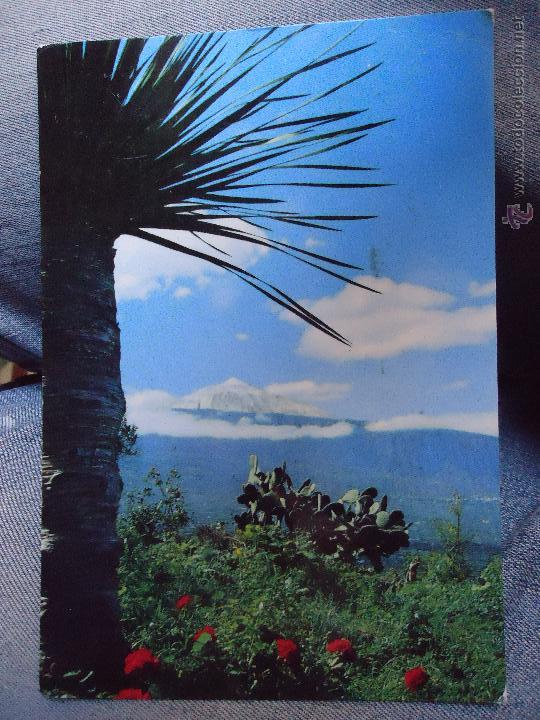 Postales: RARA POSTAL TENERIFE - Foto 1