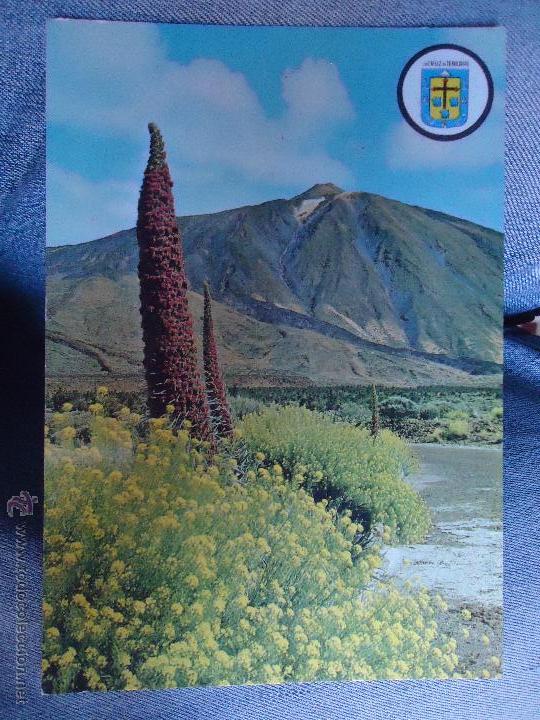 Postales: rara postal - TENERIFE - Foto 1