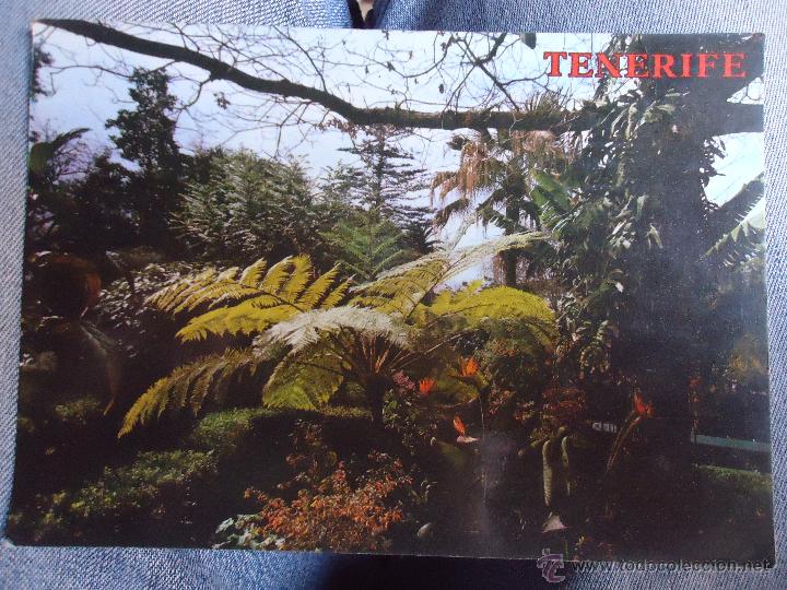 Postales: rara postal - TENERIFE - Foto 1