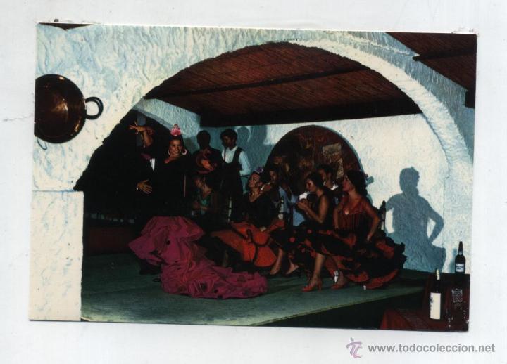 Cuadro Flamenco.- Costal del Sol  1965.