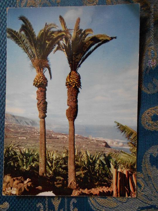 Postales: hln - oferta por lotes - postal - Tenerife - Foto 1 - 52546948
