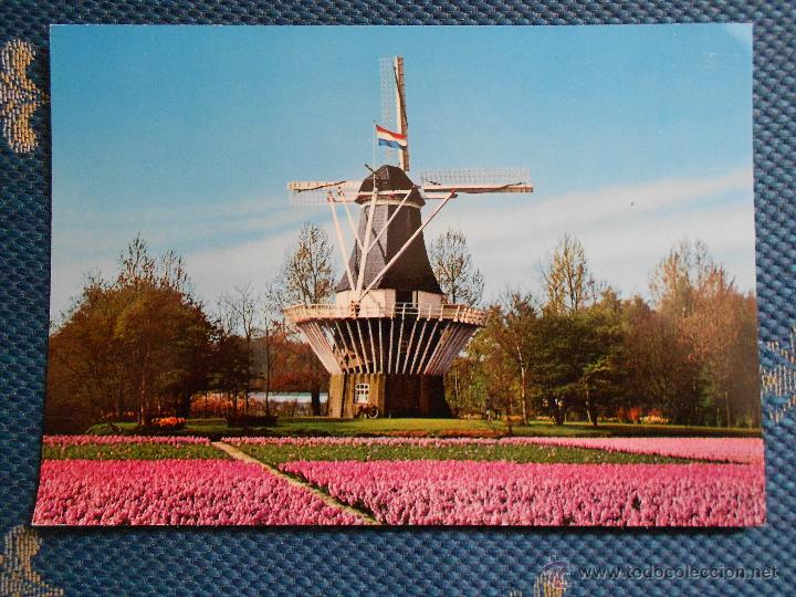 Postkarten: hln - oferta por lotes - postal - Holanda