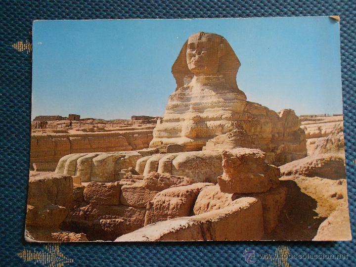 Postkarten: hln - oferta por lotes - postal - Giza, Egipto