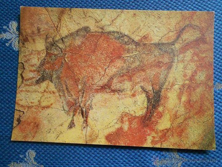 Postkarten: hln - oferta por lotes - postal - Cuevas de Altamira