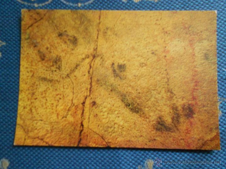 Postkarten: hln - oferta por lotes - postal - Cuevas de Altamira