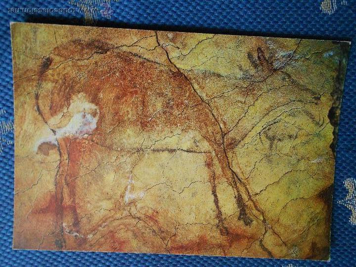 Postkarten: hln - oferta por lotes - postal - Cuevas de Altamira