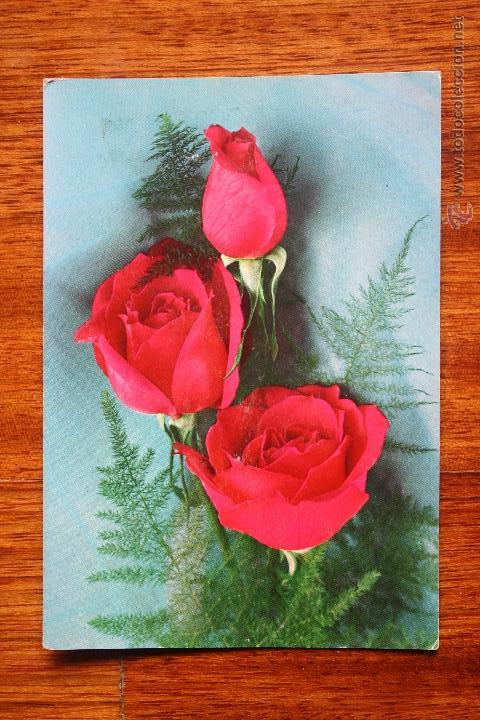 Postales: TRES ROSAS ROJAS - Foto 1