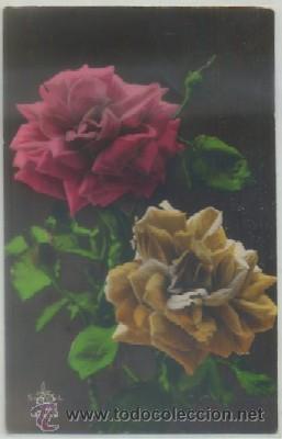 Postais: POSTAL DE FLORES: N&ordm; 3317   P-FLORES-001