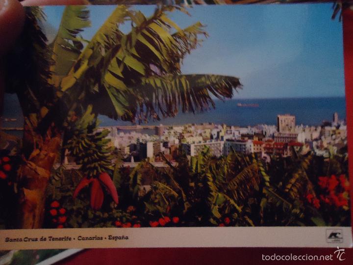 Cartes Postales: rara postal - SANTA CRUZ DE TENERIFE