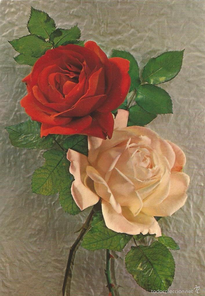 Postales: :::: PH620 - POSTAL - BONITO RAMO DE FLORES - Foto 1