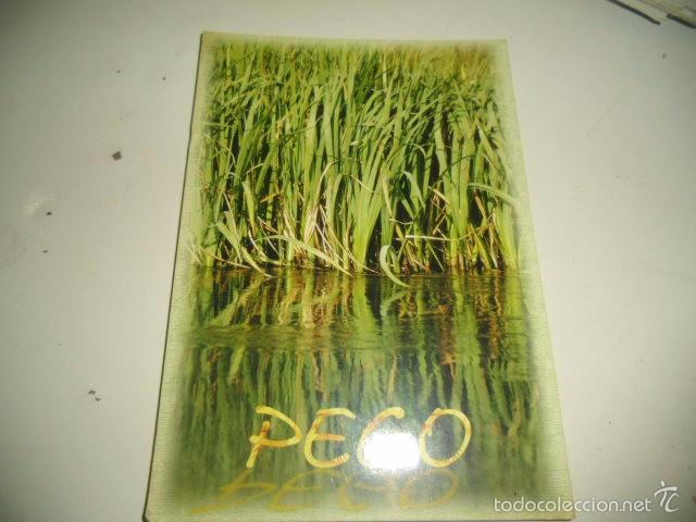 Postales: COSTA BLANCA CAJ2 - Foto 1