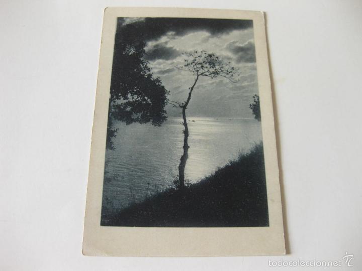 Postales: POSTAL DE UNA PUESTA DE SOL DE EDICIONES MARGARA - 1918 - Foto 1
