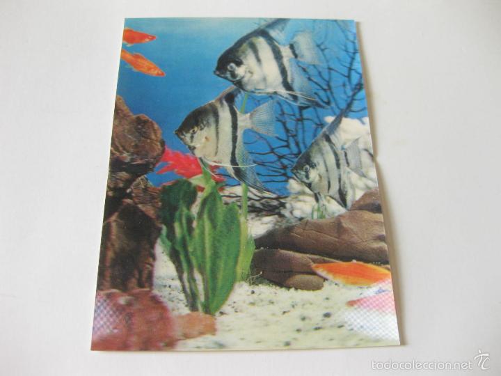 Postales: POSTAL DE LOS A&Ntilde;OS 70 EN 3D CON PECES - DE RELIEVE - Foto 1