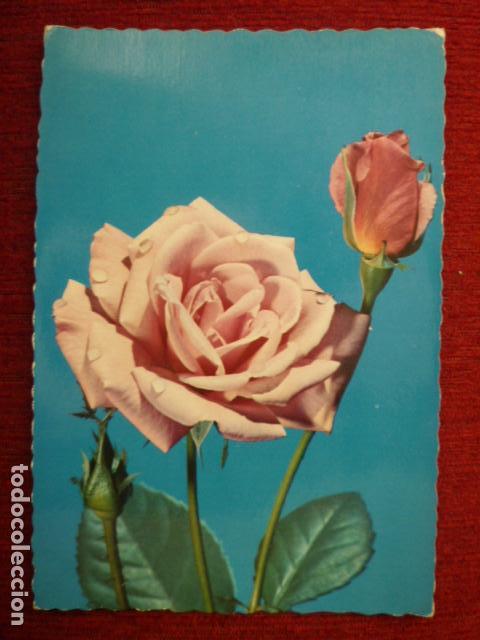 Postales: POSTAL DE FLORES. ED. CYZ 6326. ESCRITA.