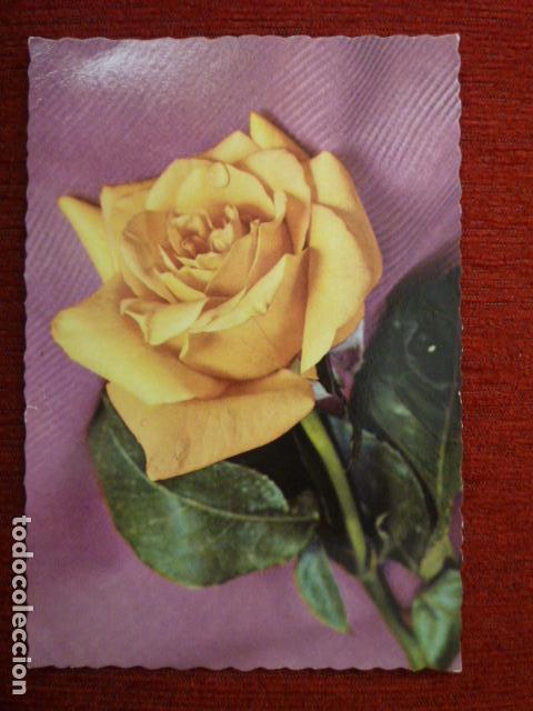 POSTAL DE FLORES. ED. CYZ 6071. ESCRITA.