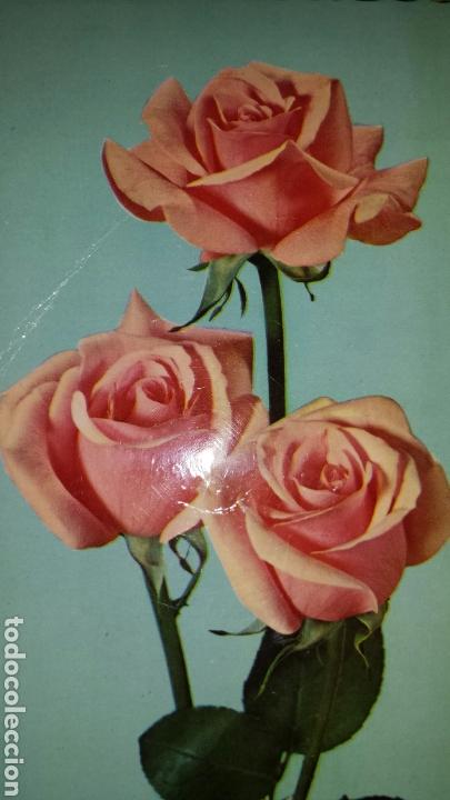 Postkarten: Postal flores. Rosas