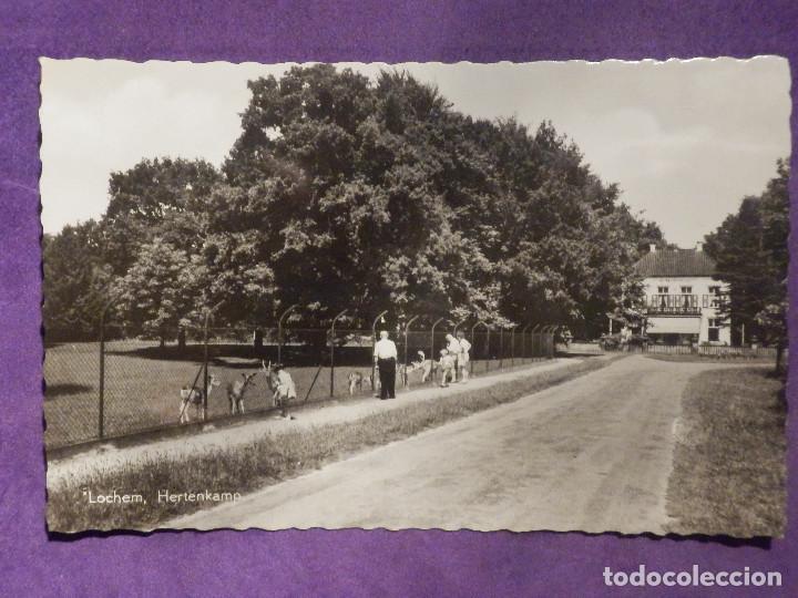 Postales: Postal - Extranjero - Sin determinar - - Foto 1