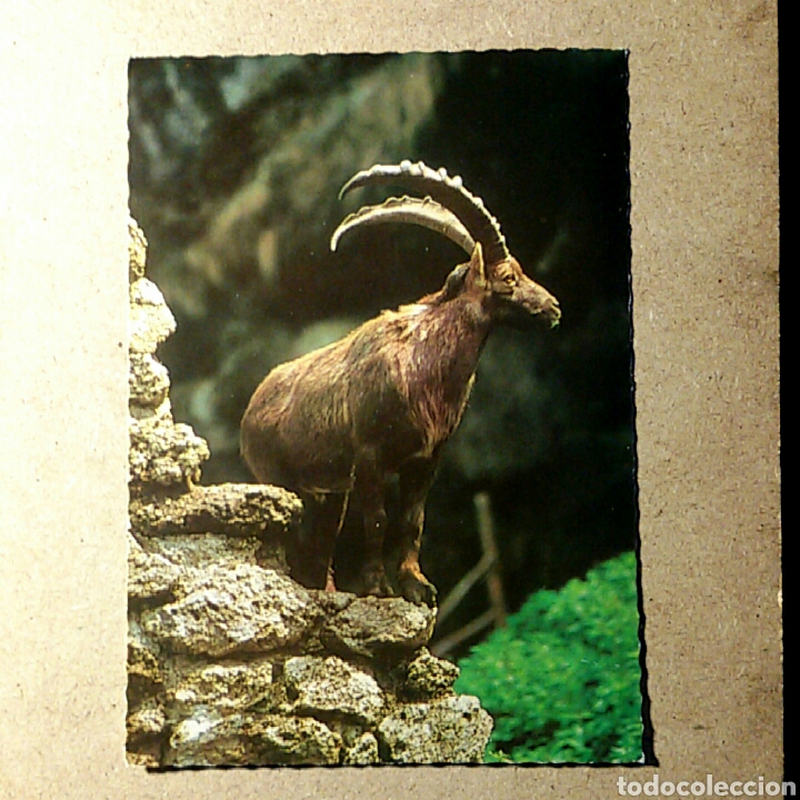 Postais: Tarjeta postal nescrita - Serie 180