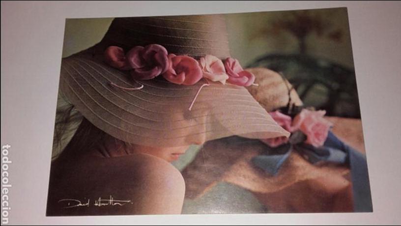 Postales: POSTAL DAVID HAMILTON A&Ntilde;OS 70 - Foto 1